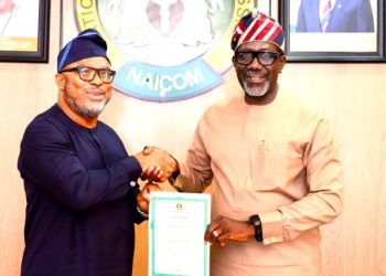 NAICOM licenses NETAPPS to boost digital insurance access