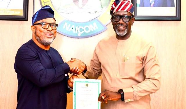 NAICOM licenses NETAPPS to boost digital insurance access