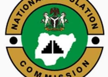 Nigeria: Population commission launches nationwide digital birth, death registration system
