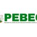 Nigeria: PEBEC seeks integrated digital platform for businesses