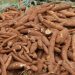 China confirms delivery of merchanisation equipment to Nigeria to boost cassava production