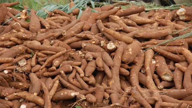 China confirms delivery of merchanisation equipment to Nigeria to boost cassava production