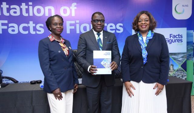 NLNG reaffirms growth strategy, energy security and sustainability at media engagement