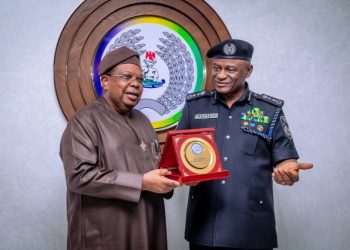 Nigeria’s power minister seeks police collaboration to protect power infrastructure