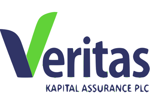 Veritas Kapital Assurance records loss in H1 2026 as premiums decline