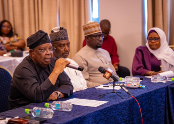 Nigeria: FG commits to providing reliable electricity supply
