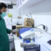 WHO highlights cybersecurity as a growing health security priority