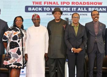Dangote Refinery IPO: Small investors take centre stage as public offering nears close