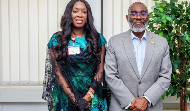Nigeria: Presidency expands skills acquisition programmes to tackle insecurity at its roots